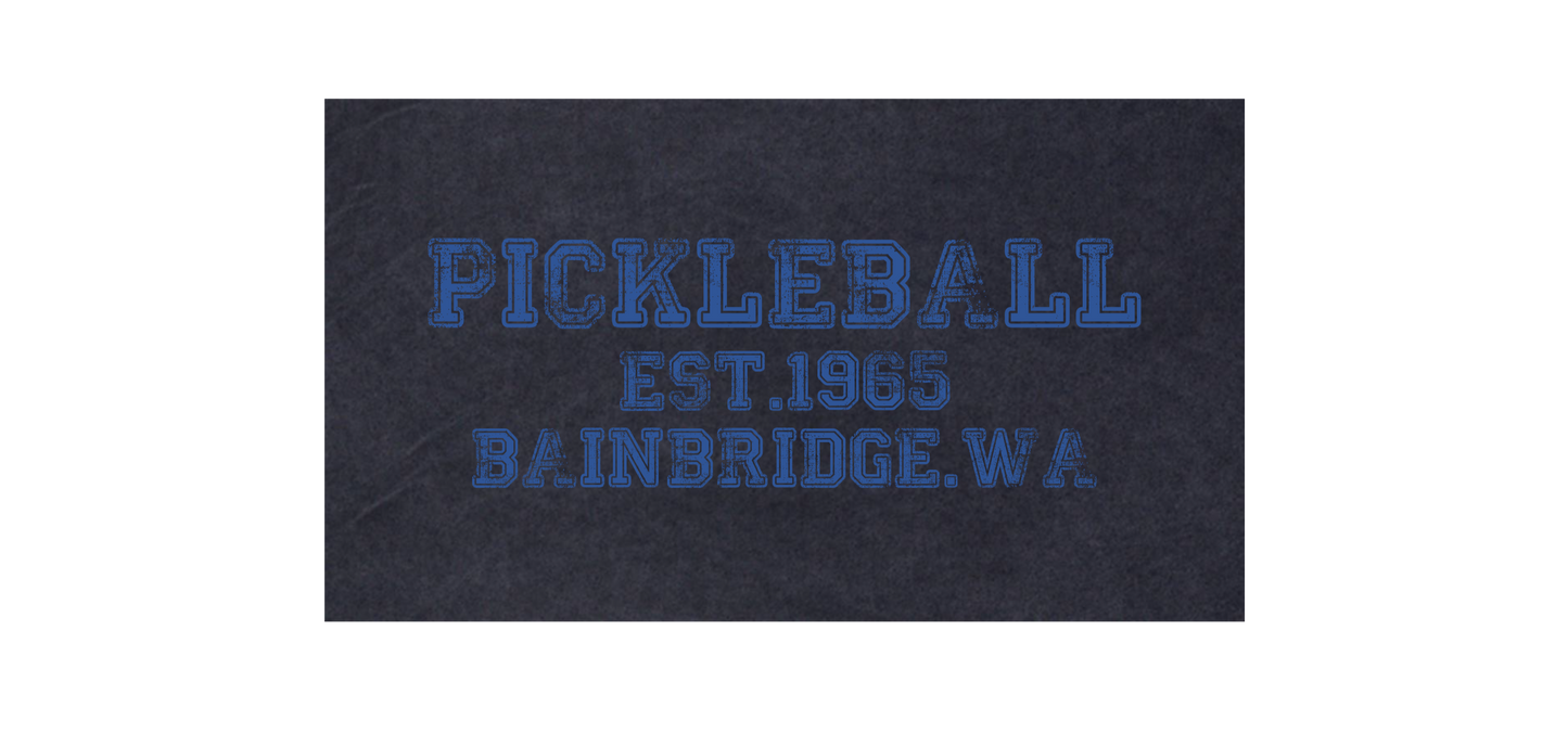 PICKLEBALL ESTABLISED TEE - VINTAGE WASHED -  MINERAL BLACK